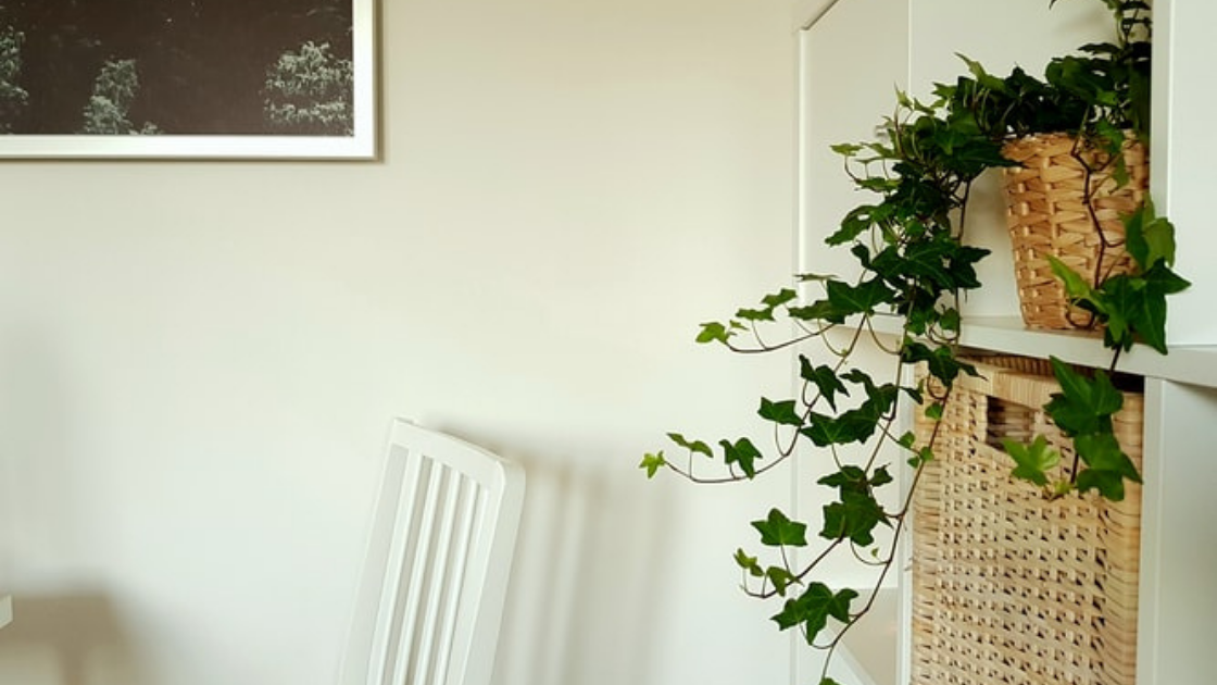 Baskets on shelf
