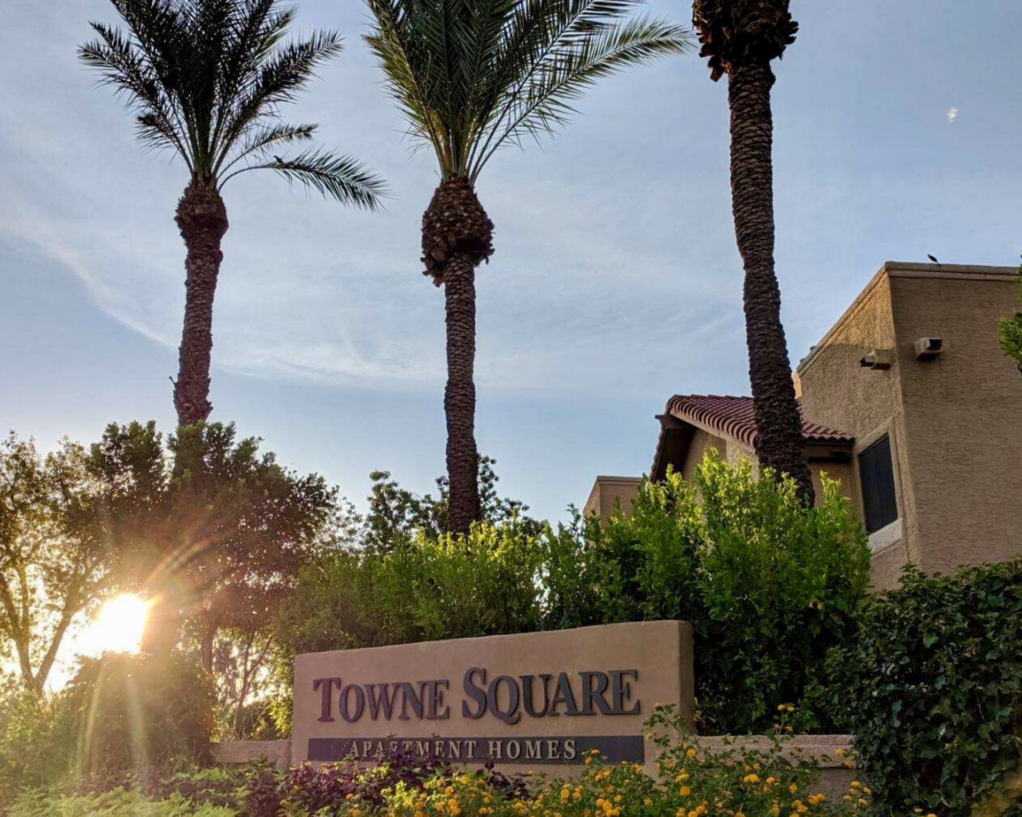 Towne Square Apartments in Chandler, AZ