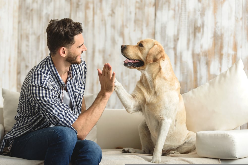 If your pet is an essential part of your life, it's important to find a home that welcomes both you and Fido. 