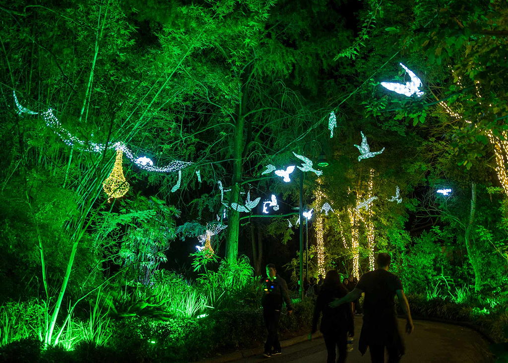 LA Zoo Lights 