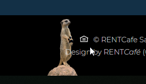 Meerkat