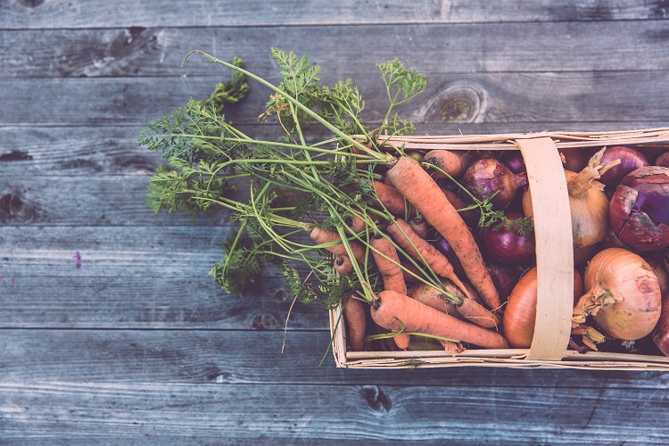 A Vegetable Garden For Your Apartment You Can Do It