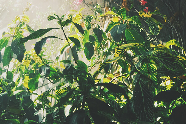 waveland state historic site lexington kentucky