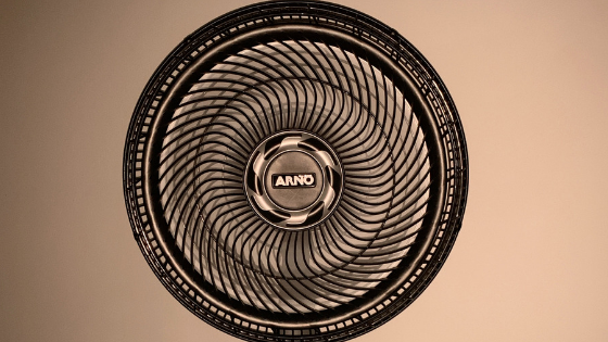 fan