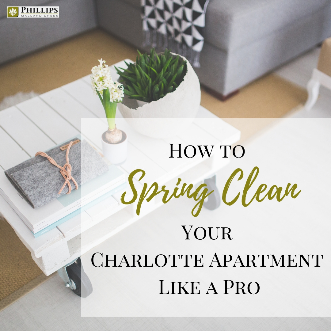 How to Spring Clean your Charlotte Apartment Like a Pro | Phillips Mallard Creek