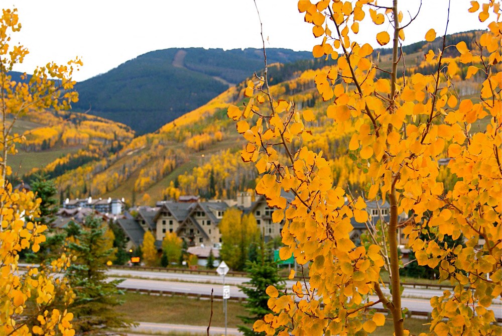 Beautiful View Of Tree Leaves at Middle Creek Village LLC, Vail, 81657
