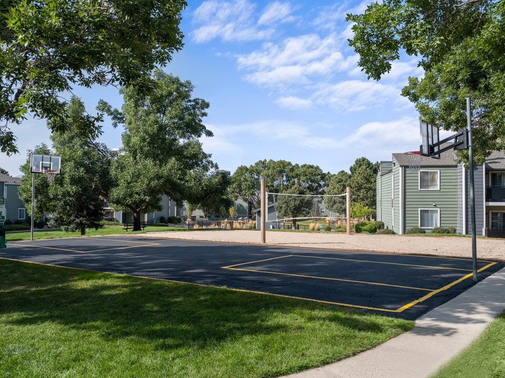 Basketball Court at Briargate, Colorado