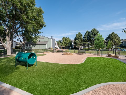Dog Park at The Glen at Briargate, Colorado Springs, Colorado, 80920