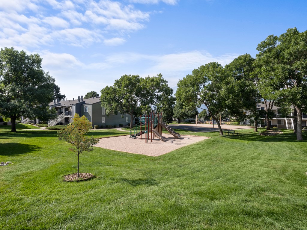 Grass Open Space at The Glen at Briargate, Colorado Springs, Colorado, 80920