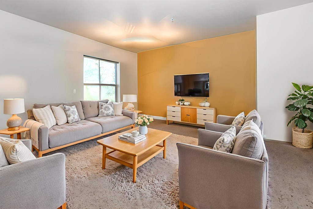 A living room with a grey couch, a wooden coffee table, and a television.