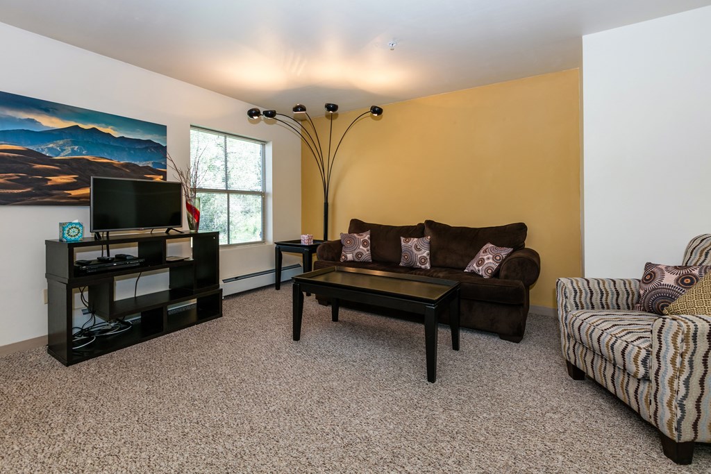 Living Room With TV at Middle Creek Village LLC, Vail
