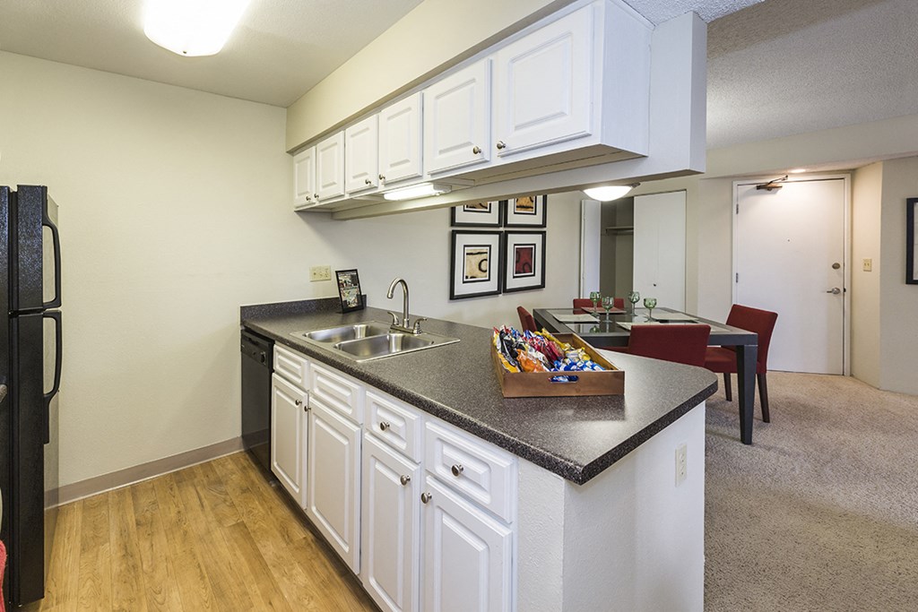 Quartz Countertops In Kitchen at The Parc at Briargate, Colorado, 80920