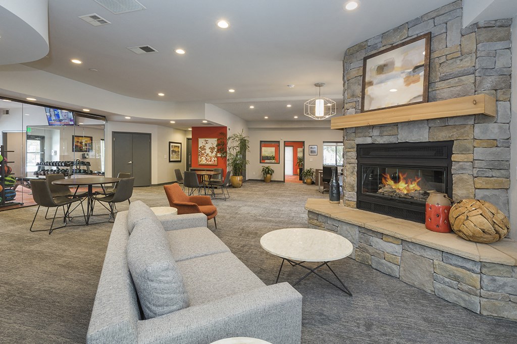 Resident Lounge With TV at The Parc at Briargate, Colorado