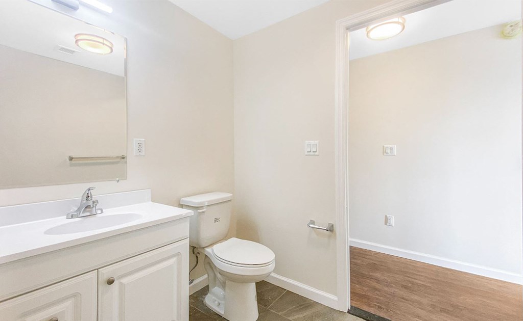 a bathroom with a toilet and a sink and a mirror