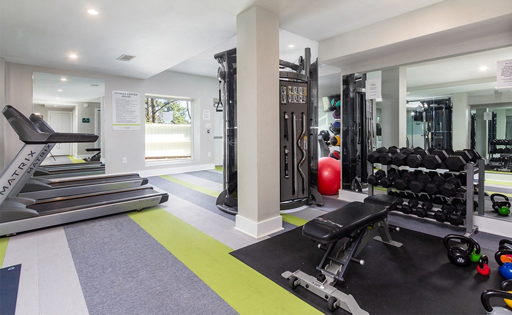 The Hills at East Cobb Spaxel