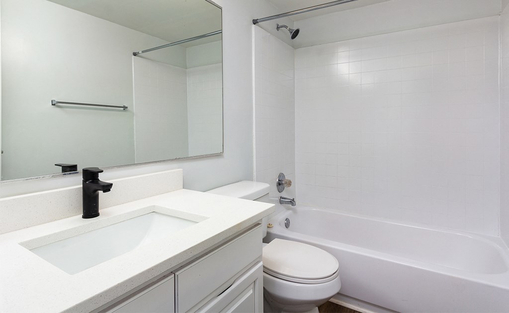 The Hills at East Cobb Spaxel