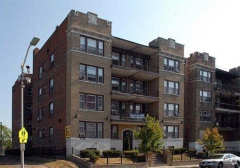 356 William Street 1-3 Beds Apartment for Rent - Photo Gallery 10