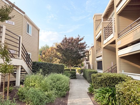 A sunny day at apartment complex with a clear blue sky.