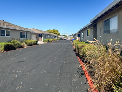 A long, narrow road separates a row of houses.