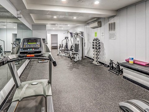A gym with treadmills, weights, and exercise equipment.