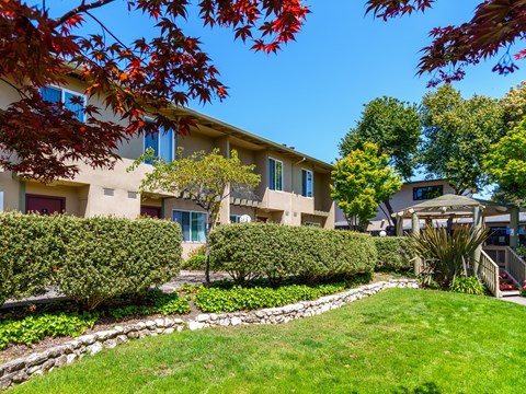 A row of houses with green lawns and trees.