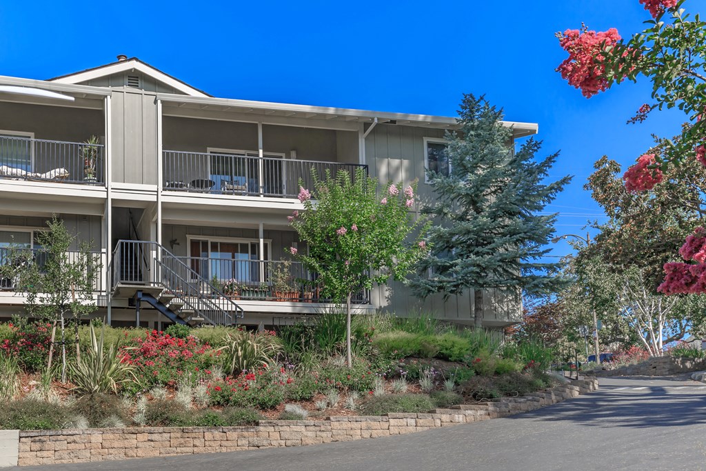 our apartments offer a beautiful yard for residents to enjoy