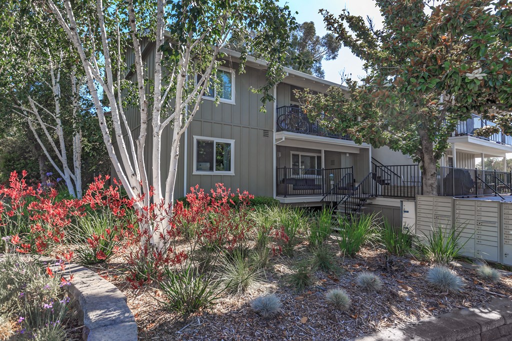 a view of the front of the house with a landscaped front yard
