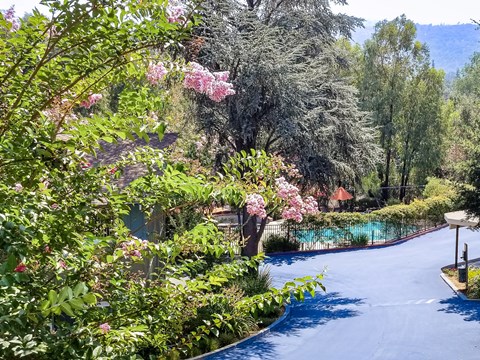 A blue water slide in a garden with trees and flowers.