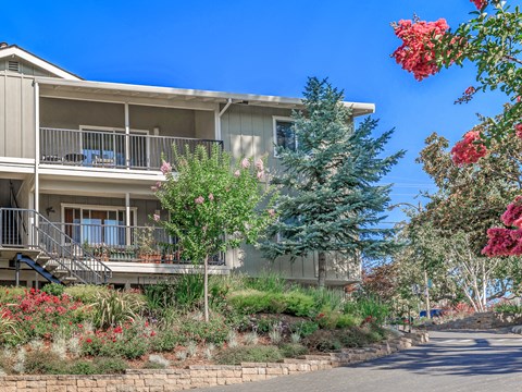 A building with a balcony and a tree in front of it.