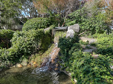 A small waterfall in a lush green garden.