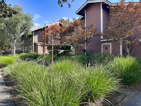A building with a red brick exterior is surrounded by greenery.