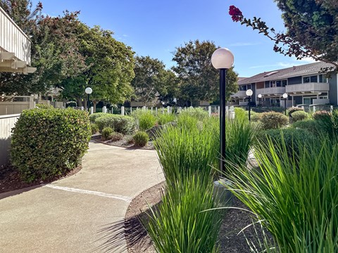 A sunny day at a park with a white spherical lamp post.