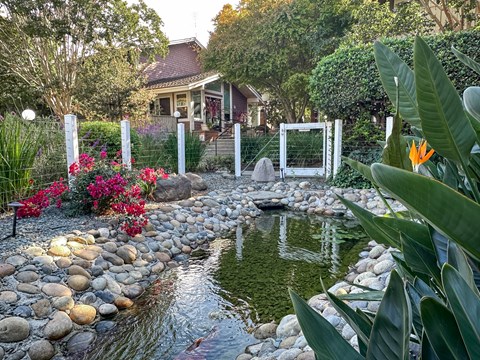 A garden with a pond and a house in the background.