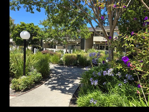 Lakeview Apartments Fremont, CA No Pets Allowed bus stop; shopping; centrally located; pool;