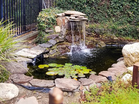A small pond with a waterfall and lily pads.