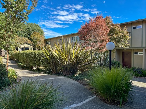 A sunny day at a residential complex with a clear blue sky.
