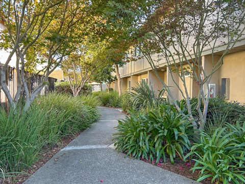 A concrete pathway leads through a landscaped area with trees and shrubs.