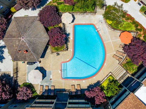 An aerial view of a swimming pool surrounded by trees and umbrellas.