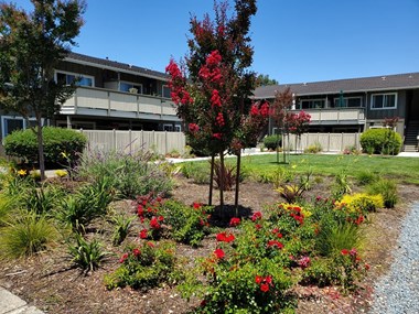 landscaped courtyard