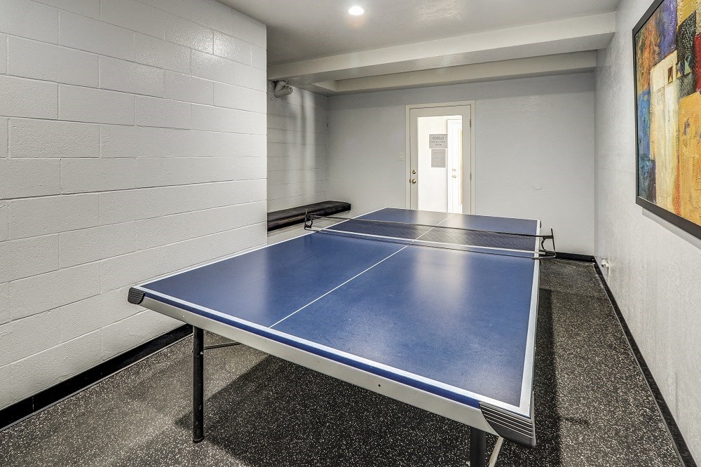 ping pong table
