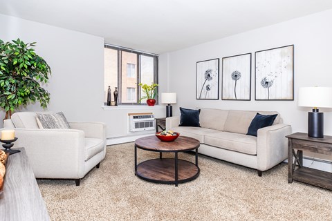 A living room with a white couch, a coffee table, and a potted plant.