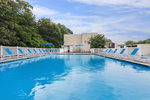 A large blue swimming pool with white lane dividers.