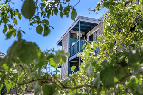 A building with blue railings is framed by green leaves.