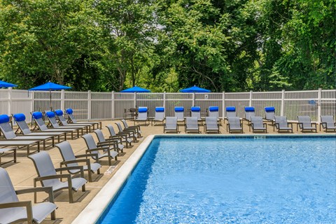 A pool surrounded by chairs and umbrellas.