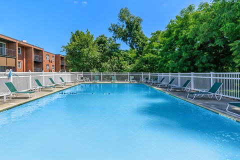 A large blue swimming pool surrounded by green trees and chairs.