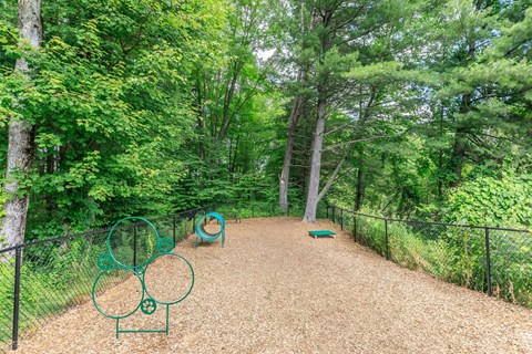 A playground with a slide and swings in a wooded area.