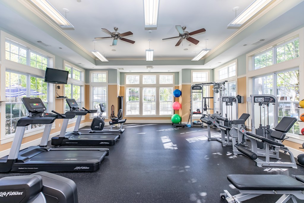 A spacious gym with treadmills, elliptical machines, and a television.