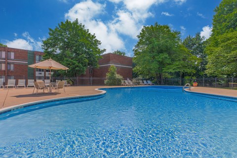 A large swimming pool surrounded by trees and chairs.