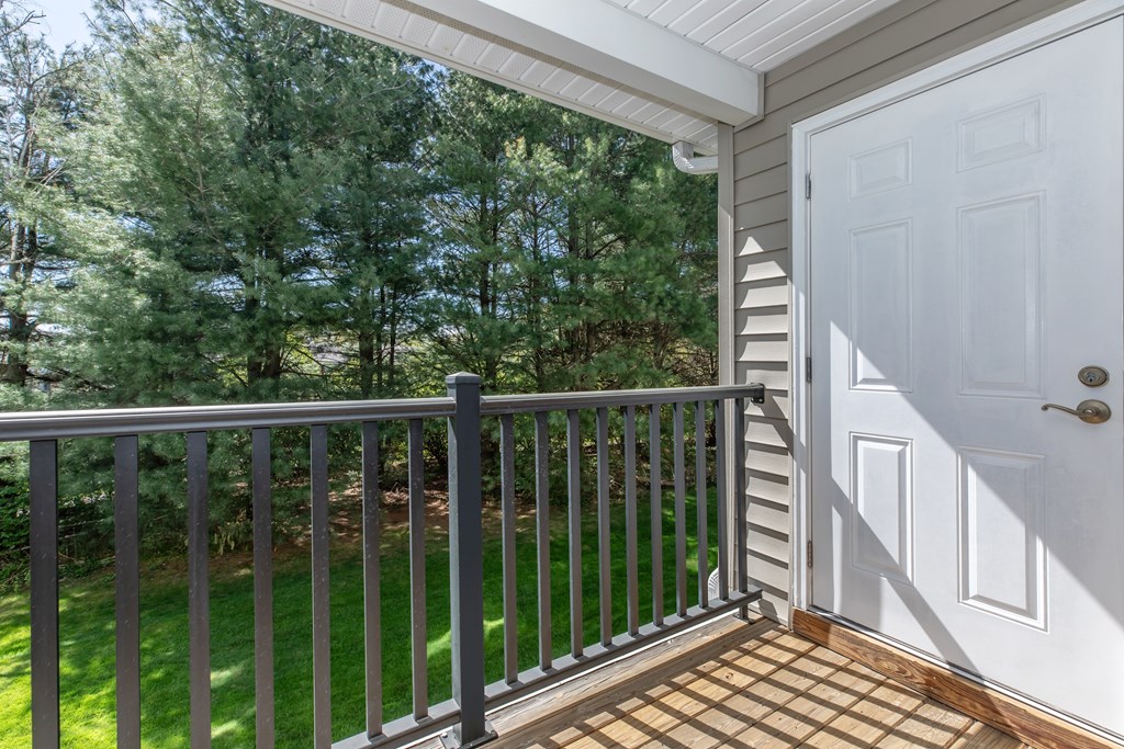 A white door is on the left side of a balcony with a black railing.