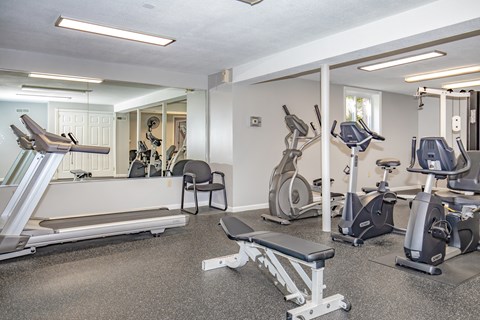 A gym with treadmills, exercise bikes, and other equipment.